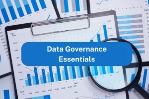 Data Governance Framework